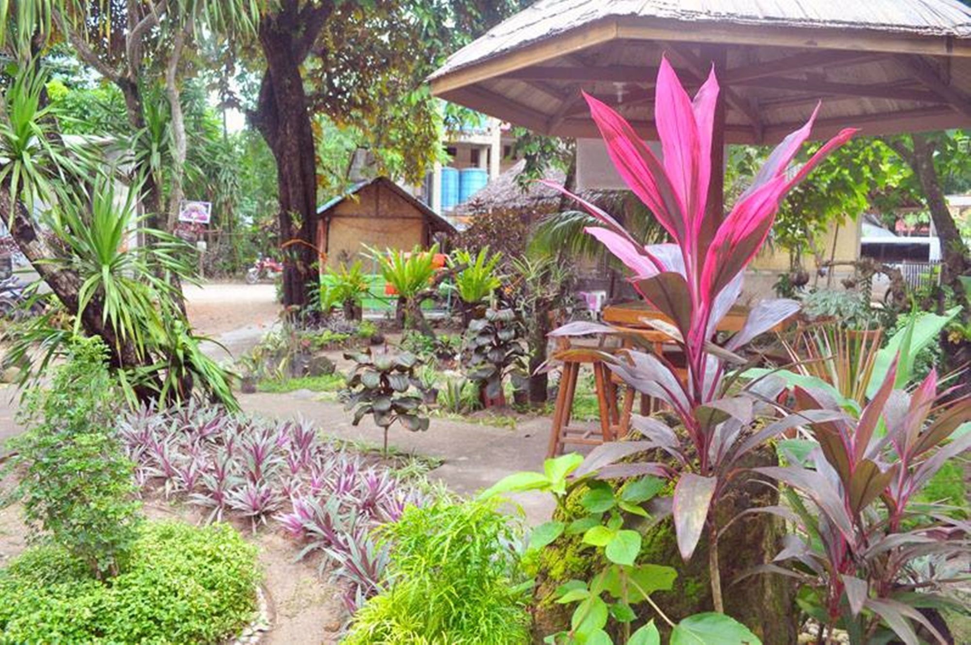 Peak House Garden Pension Эль-Нидо Экстерьер фото